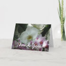 Buscar orquídeas tarjetas General y unisex