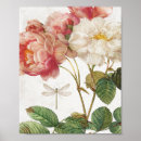 Buscar rosas vintage posters Rosas rosas rosas rosas