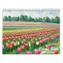 Buscar tulipanes calendarios Flor