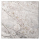 Buscar flor de cerezo japonesa azulejos Naturaleza