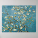 Buscar flor posters General y unisex