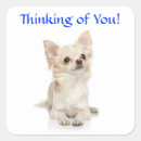 Buscar pegajosas pegatinas Nota pegajosa