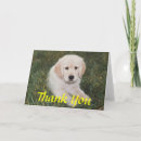 Buscar puppy tarjetas Cachorros