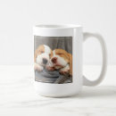 Buscar perrito del beagle tazas Perritos