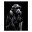 Buscar chimpancé posters Naturaleza