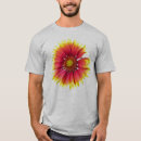 Buscar combinado ropa Naturaleza