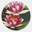 Buscar adt pegatinas Día