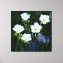 Buscar flores blancas arte Flor silvestre