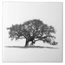 Buscar árbol blanco y negro azulejos Foto