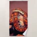 Buscar serpiente manchada Animal