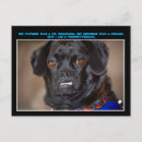Buscar canina postales Divertido