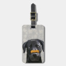 Buscar punk etiquetas para maletas Labrador negro