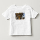 Buscar duna camisetas Amanecer