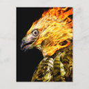 Buscar fenix postales Ave de fuego