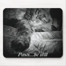Buscar paws electronica Gato