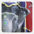 Buscar elefante indio pegatinas Colorido