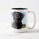 Buscar labrador retriever tazas Retrato