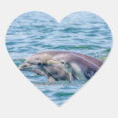 Buscar animal marino corazon pegatinas Naturaleza
