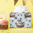 Buscar mimbre papel de regalo Adorable