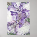 Buscar dibujos posters Floral