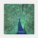 Buscar florida imanes General y unisex