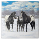 Buscar caballos negros azulejos Nieve