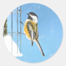 Buscar alimentadores pegatinas Para todos