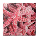Buscar estrella de mar azulejos Tropical