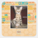 Buscar idiotas pegatinas Puedo tener cheezburger