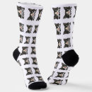 Buscar gato calcetines Gato de esmoquin