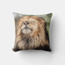 Buscar leones cojines Animales