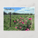 Buscar mendoza postales Andes