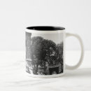 Buscar arquitectura tazas Estudio