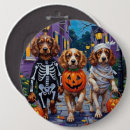 Buscar cocker spaniel chapas Para todos