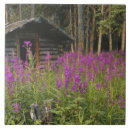 Buscar tronco de árbol azulejos Madera