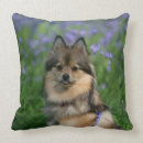 Buscar perro de pomerania enano cojines Sacudida y pam langrish