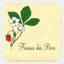 Buscar fraise Para todos
