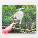 Buscar lemur electronica Lémur