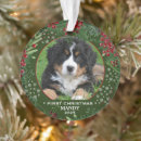 Buscar dog first adornos Navidades
