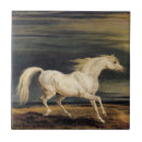 Buscar caballo blanco azulejos Equino