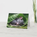 Buscar cute raton tarjetas General y unisex
