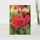 Buscar capullos de rosa tarjetas General y unisex