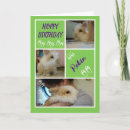 Buscar pájaros divertidos tarjetas Verde