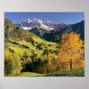 Buscar magdalenas posters Naturaleza