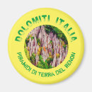 Buscar el tirol imanes Bolzano