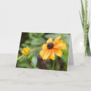 Buscar contraluz tarjetas Floral