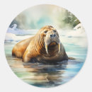 Buscar walrus pegatinas Ártico