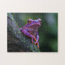 Buscar árbol de la vida puzzles Rana