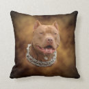 Buscar terrier de pitbull americano cojines Aterrador