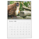 Buscar lemur fotografía Lemures